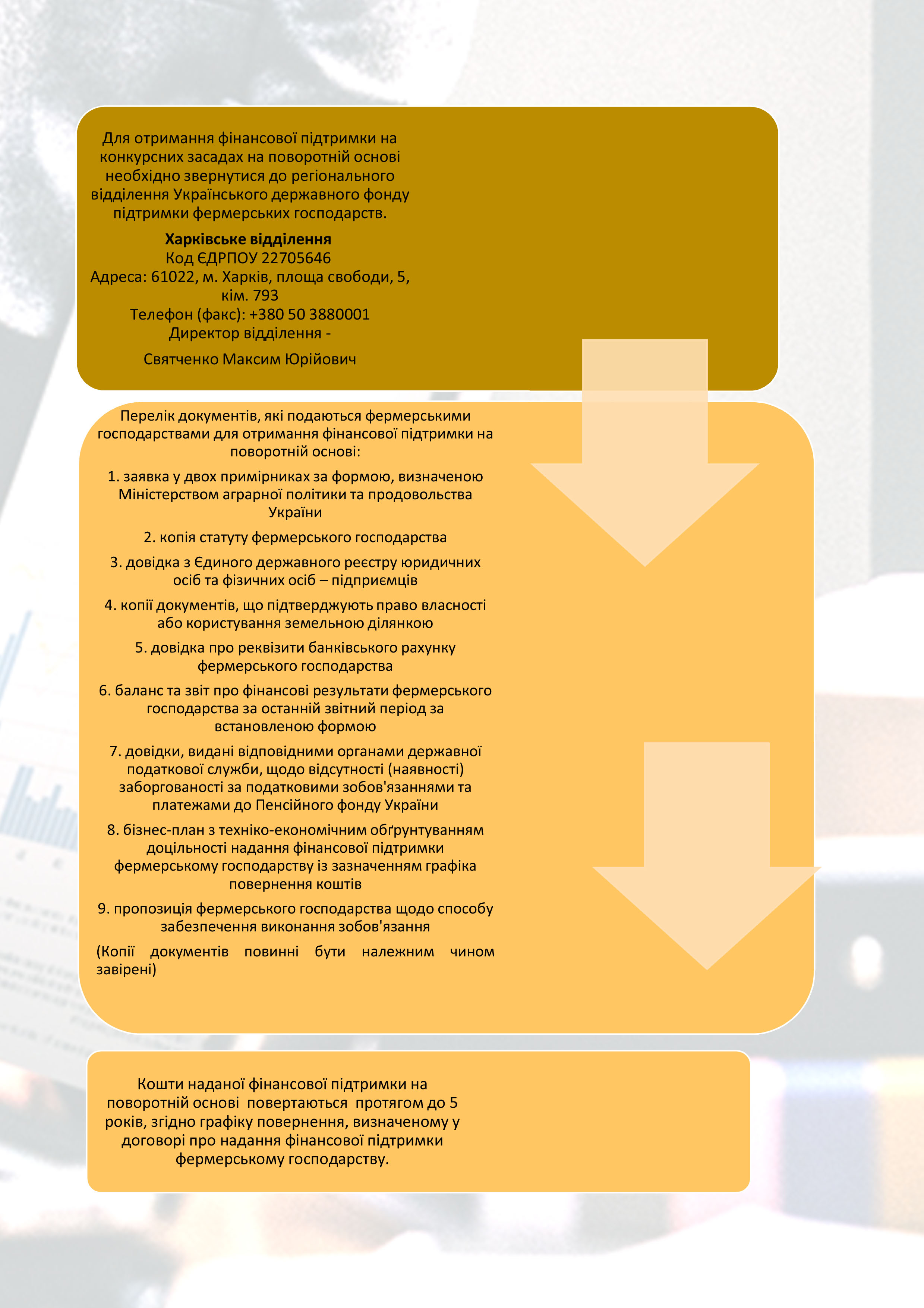 Консультации